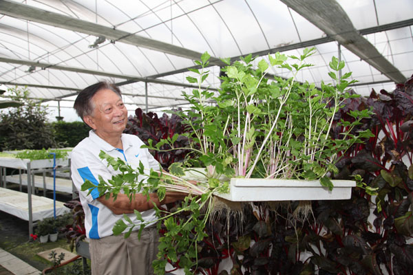 享受國(guó)務(wù)院特殊津貼專家、通威股份高級(jí)技術(shù)顧問吳宗文