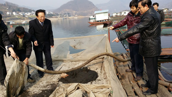 農(nóng)業(yè)部漁業(yè)局副局長李書明在廣元白龍湖調(diào)研網(wǎng)箱魚體排泄物回收技術(shù)。